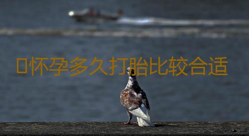 ​怀孕多久打胎比较合适