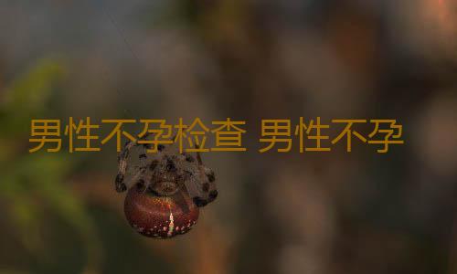 男性不孕检查 男性不孕的检查项目