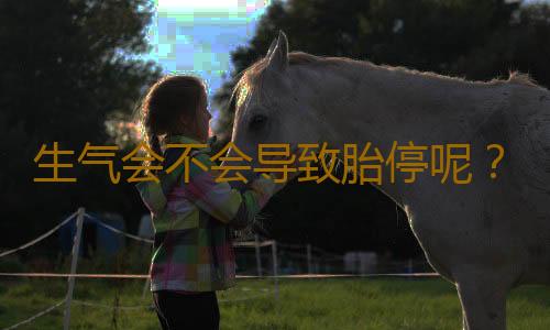 生气会不会导致胎停呢？