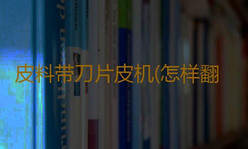 皮料带刀片皮机(怎样翻新沙发)
