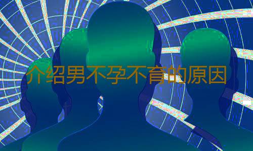 介绍男不孕不育的原因