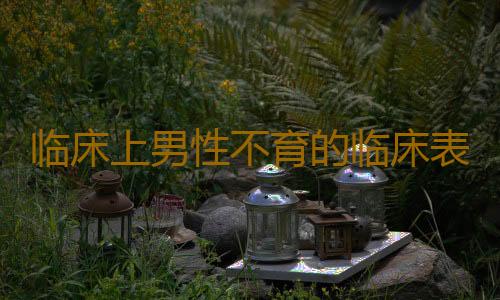 临床上男性不育的临床表现
