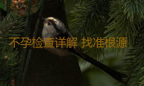 不孕检查详解 找准根源治不孕