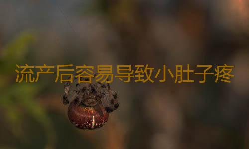 流产后容易导致小肚子疼