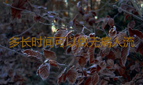 多长时间可以做无痛人流