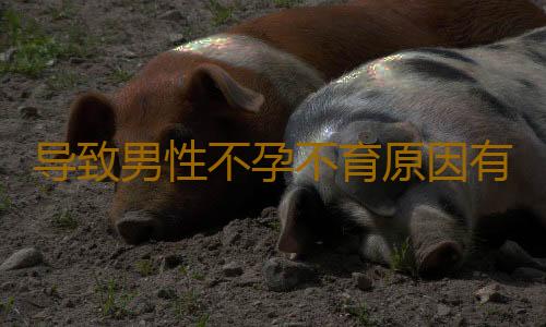 导致男性不孕不育原因有哪些呢？