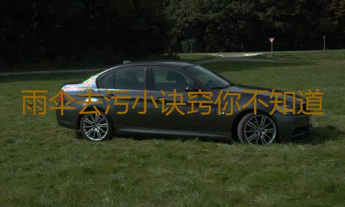雨伞去污小诀窍你不知道的雨伞保养小技巧