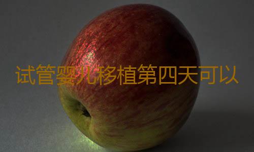 试管婴儿移植第四天可以检查了吗