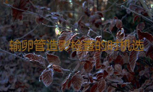 输卵管造影检查的时机选择
