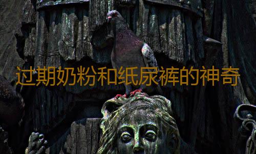 过期奶粉和纸尿裤的神奇妙用